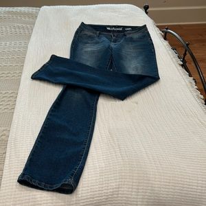 Wallflower The Legendary fit  bootcut jeans size 9